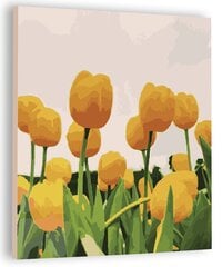 Картина по номерам "Тюльпаны", 40х50см цена и информация | Живопись по номерам | 220.lv