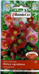 Kāršrozes maisījums PlantiCo цена и информация | Семена цветов | 220.lv