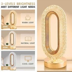 Декоративная LED настольная лампа Table Lamp цена и информация | Настольные светильники | 220.lv