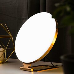 Lykke galda lampa Sad Premium 3000 цена и информация | Настольные светильники | 220.lv
