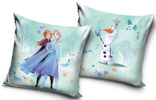 Наволочка Disney Frozen  40x40 cm цена и информация | Оригинальные подушки, наволочки | 220.lv