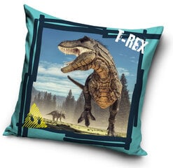 Наволочка Dinosaur  40*40 cm цена и информация | Оригинальные подушки, наволочки | 220.lv