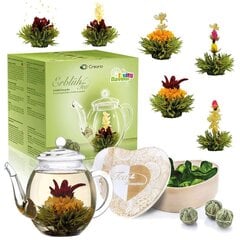 Creano Tea Blum Mix - Подарочный набор расцветает стеклянным кувшин с зеленым чаем фруктовый аромат (тароз в 6 сортах), цветущий чай, чайный подарок для женщин, мать, любитель чая, подарок на День матери цена и информация | Чай | 220.lv