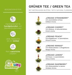 Ziedošs tējas komplekts ar tējkannu Zaļā tēja Creano, 6 gab. cena un informācija | Tēja | 220.lv