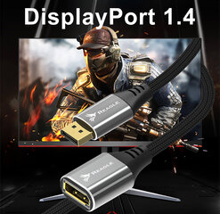 Reagle DisplayPort Extender 1.4 DP 8K 4K@144Hz 50 CM цена и информация | Аксессуары для корпусов | 220.lv