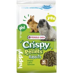 Корм для кроликов Versele-Laga Crispy Pallet Rabbits, 25 кг цена и информация | Корм для грызунов | 220.lv