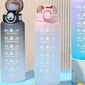 Ūdens pudele PanoramaGoods, 1000 ml цена и информация | Ūdens pudeles | 220.lv