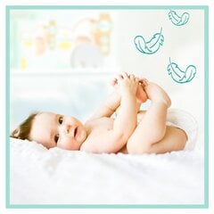 Autiņbiksītes Pampers Premium Protection 5 (11-16 kg), 148 gab. цена и информация | Подгузники | 220.lv