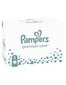 Autiņbiksītes Pampers Premium Protection 5 (11-16 kg), 148 gab. цена и информация | Autiņbiksītes | 220.lv