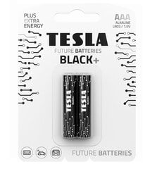 Tesla melns+ LR03 B2 1,5 V 2 gabali цена и информация | Батарейки | 220.lv