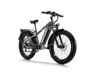 Elektriskais velosipēds Himiway Zebra, 26", pelēks цена и информация | Электровелосипеды | 220.lv