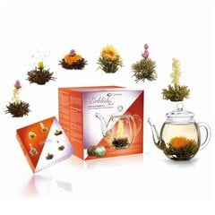 Ziedošs tējas komplekts ar tējkannu Baltā un melnā tēja, 6 gab. cena un informācija | Tēja | 220.lv
