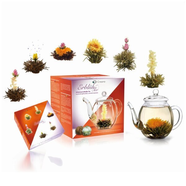Ziedošs tējas komplekts ar tējkannu Baltā un melnā tēja, 6 gab. цена и информация | Tēja | 220.lv