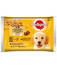 Pedigree Junior для молодых щенков с курицей/говядиной и рисом, 4x100gx13 цена и информация | Консервы для собак | 220.lv
