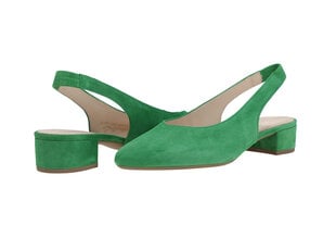 Шлепанцы для женщин Gabor 08871, зеленые цена и информация | Женские сандалии Libra Pop, чёрные | 220.lv