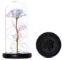 Eternal Rose - mākslīgā Roze zem kupola ar baltu LED apgaismojumu cena un informācija | Citas oriģinālas dāvanas | 220.lv