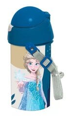 Ūdens pudele Disney Frozen, 500 ml cena un informācija | Ūdens pudeles | 220.lv