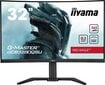 Iiyama G-Master GCB3280QSU-B1 цена и информация | Monitori | 220.lv