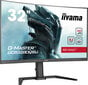 Iiyama G-Master GCB3280QSU-B1 цена и информация | Monitori | 220.lv