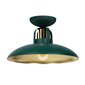 Griestu lampa - felix zaļa/zelta, 1xe27 цена и информация | Griestu lampas | 220.lv