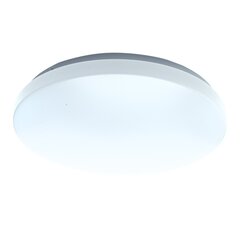 плафоны, 13w led ø330 мм цена и информация | Настенные светильники | 220.lv