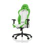 Biroja krēsls - balts/zaļš sl2000 cena un informācija | Biroja krēsli | 220.lv