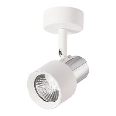 Griestu lampa, 230v/50hz, balta цена и информация | Потолочные светильники | 220.lv