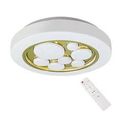 Griestu lampa, 30w, ø390 mm, balts цена и информация | Потолочные светильники | 220.lv