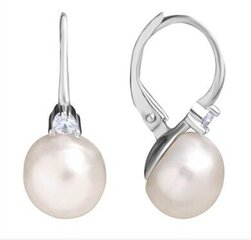 Smalki sudraba auskari ar pērlēm sievietēm Brilio Silver, EA955W cena un informācija | Auskari | 220.lv