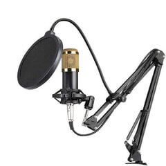 Профессиональный студийный микрофон stadroom цена и информация | Микрофоны | 220.lv