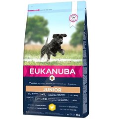 Eukanuba Developing Junior Large Breed для собак с курицей, 3 кг цена и информация |  Сухой корм для собак | 220.lv