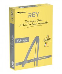 Krāsains papīrs Rey Adagio A4 80 g 500 loksnes cena un informācija | Burtnīcas un papīra preces | 220.lv
