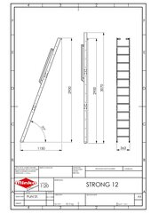 Kāpnes Minka Strong 12, 36.3 x 290(307) cm cena un informācija | Kāpnes | 220.lv