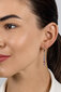 Sudraba auskari ar krāsainiem cirkoniem sievietēm Brilio Silver, EA1008WRBW цена и информация | Auskari | 220.lv