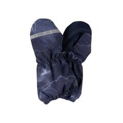 Детские варежки Rain Lenne, тёмно-синий /белый цена и информация | Шапки, перчатки, шарфы для мальчиков | 220.lv