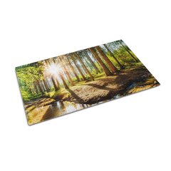 Durvju paklājs Ainavu Mežs, 150x100 cm cena un informācija | Kājslauķi | 220.lv