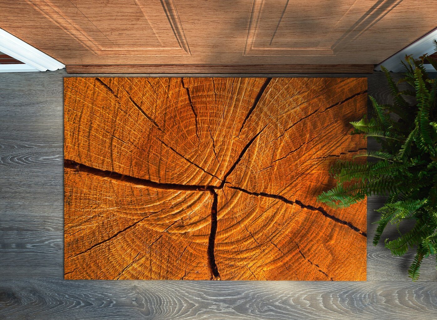 Durvju paklājs Koks, 60x40 cm цена и информация | Kājslauķi | 220.lv