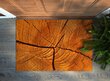 Durvju paklājs Koks, 60x40 cm цена и информация | Kājslauķi | 220.lv