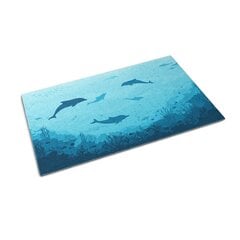 Durvju paklājs Delfīni, 150x100 cm цена и информация | Придверные коврики | 220.lv