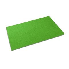 Durvju paklājs Zaļš, 150x100 cm cena un informācija | Kājslauķi | 220.lv