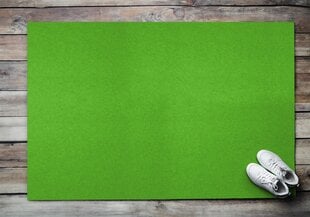 Durvju paklājs Zaļš, 150x100 cm cena un informācija | Kājslauķi | 220.lv