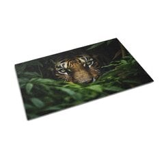 Durvju paklājs Jungle Tiger, 150x100 cm cena un informācija | Kājslauķi | 220.lv