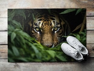 Durvju paklājs Jungle Tiger, 60x40 cm cena un informācija | Kājslauķi | 220.lv