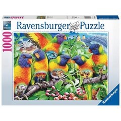 Ravensburger puzle 1000 gab. Papagaiļi cena un informācija | Puzles, 3D puzles | 220.lv