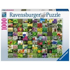 Ravensburger puzle 1000 gab. 99 garšaugi cena un informācija | Puzles, 3D puzles | 220.lv