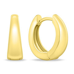 Brilio Silver EA283Y gold-plated matte hoop earrings цена и информация | Серьги | 220.lv