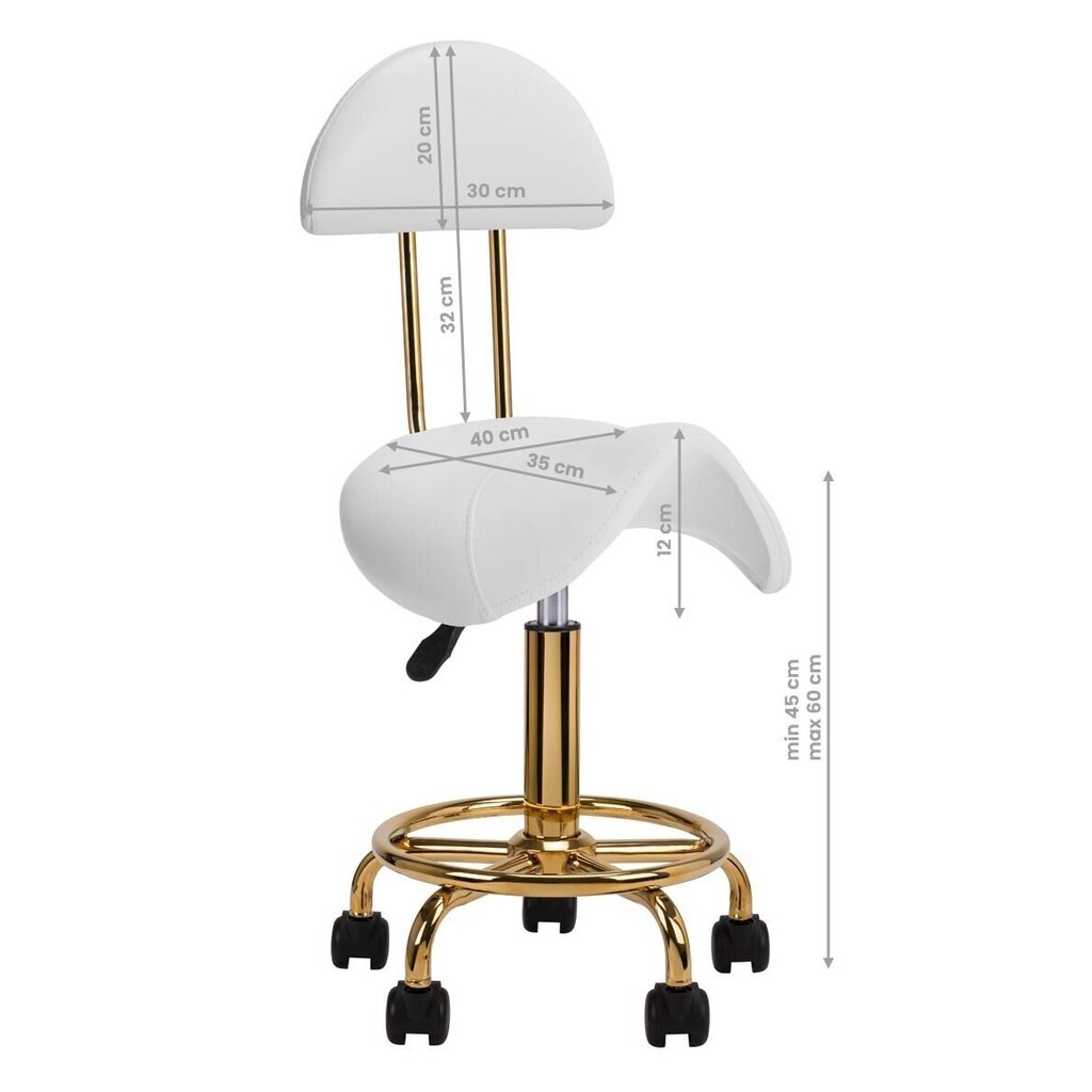Kosmetoloģijas krēsls 6001-G, balts/zelta cena un informācija | Mēbeles skaistumkopšanas saloniem | 220.lv