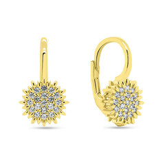 Brilio Silver Charming gold-plated earrings with zircons EA253Y цена и информация | Серьги | 220.lv