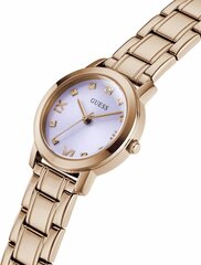 Часы Guess GW0532L3 цена и информация | Женские часы | 220.lv