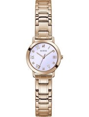 Часы Guess GW0532L3 цена и информация | Женские часы | 220.lv